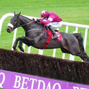 No More Heroes wins at Punchestown